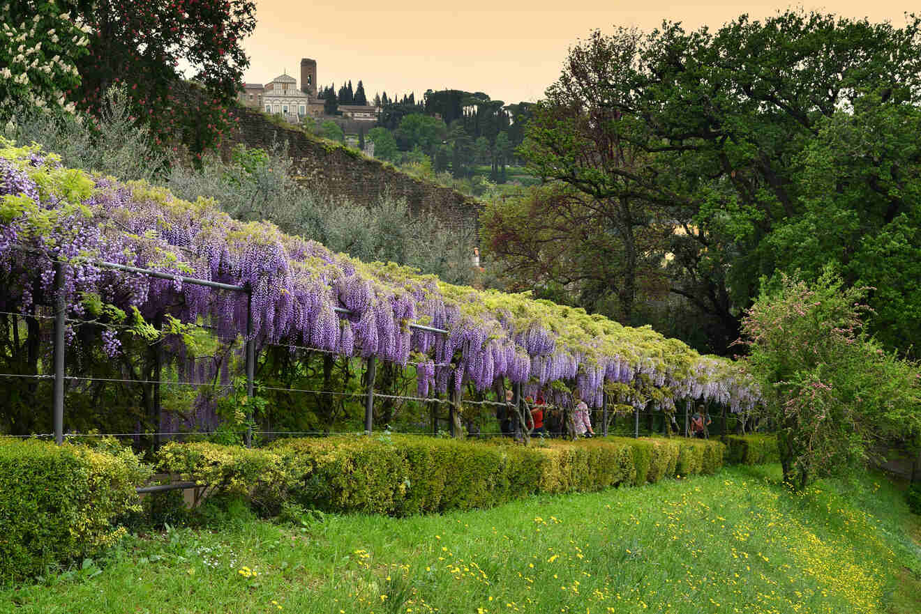 9 florence things to do free Giardino Bardini