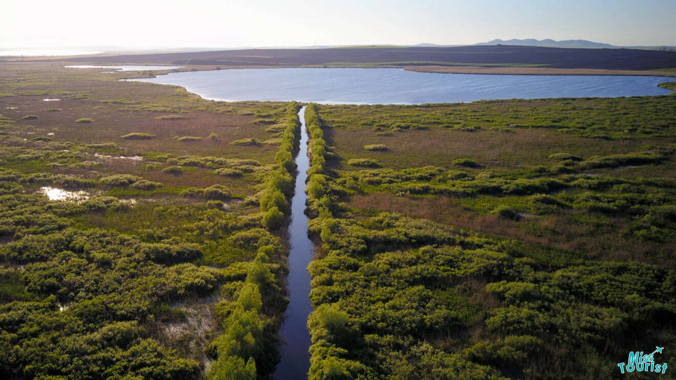 Danube Delta on a boat tour