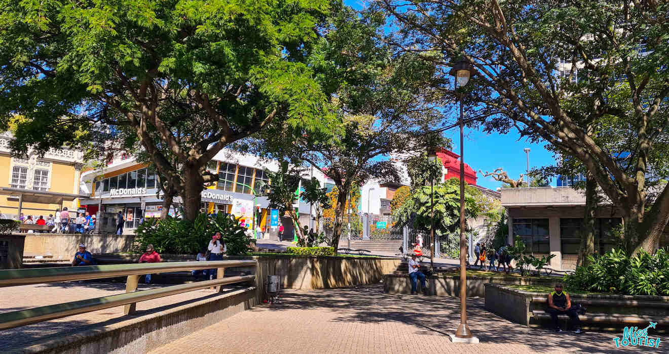 Municipal Craft Market mercado artesanal area where to buy souvenirs