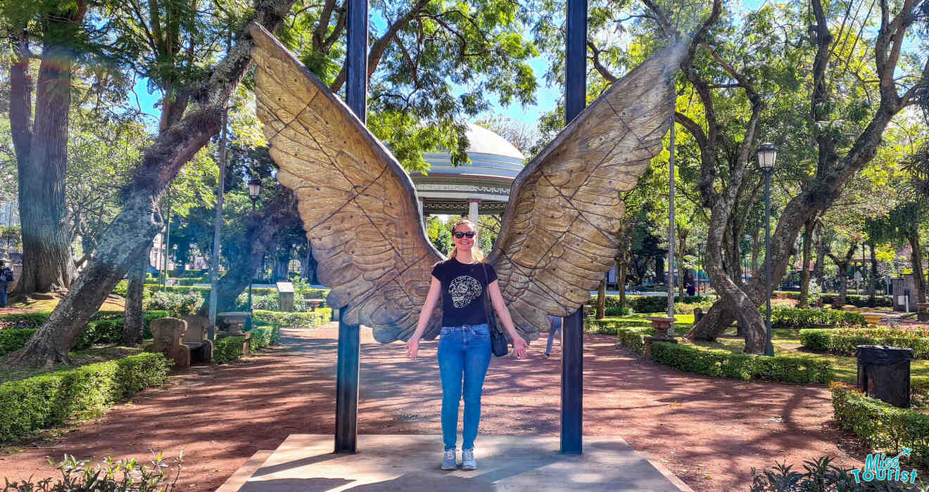 Author of the post  in front of a large, decorative wing sculpture in a park, giving the appearance that they have wings. Trees, a gazebo, and well-maintained garden areas can be seen in the background.