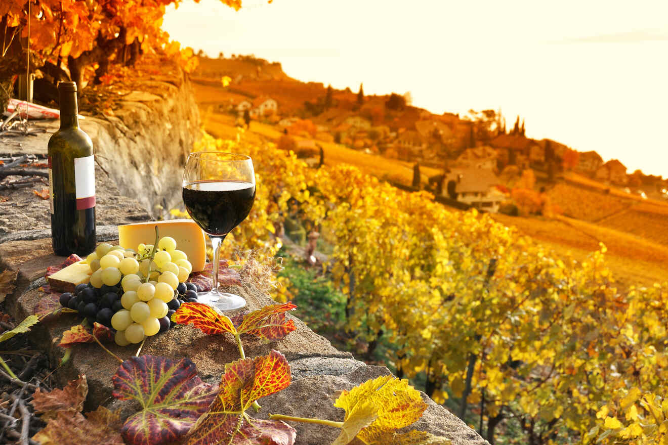 A bottle of wine, a wine glass, grapes, and cheese are set on a stone ledge overlooking a vineyard in autumn.