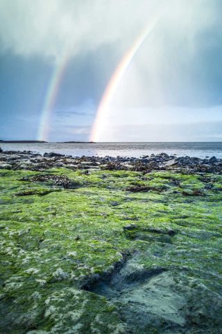 A double rainbow arcs over a rocky coastline with green algae-covered rocks in the foreground and a cloudy sky.