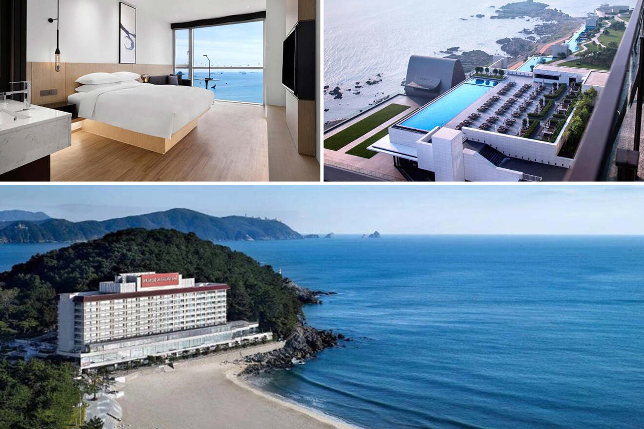 A collage of three hotel photos to stay in Busan: a sleek bedroom with sea views through large windows, an outdoor infinity pool overlooking the coastline, and an aerial view of the hotel nestled along a beach with surrounding greenery.