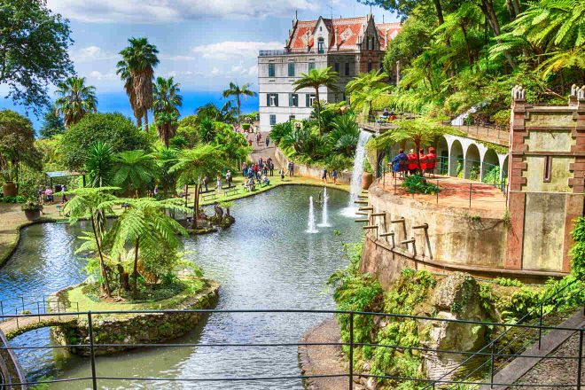 14 UNMISSABLE Things to Do in Funchal, Madeira Island