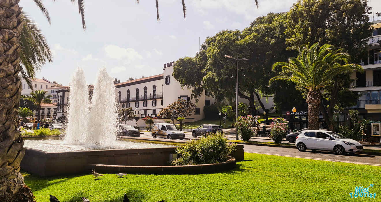 13 Must see attractions in Funchal