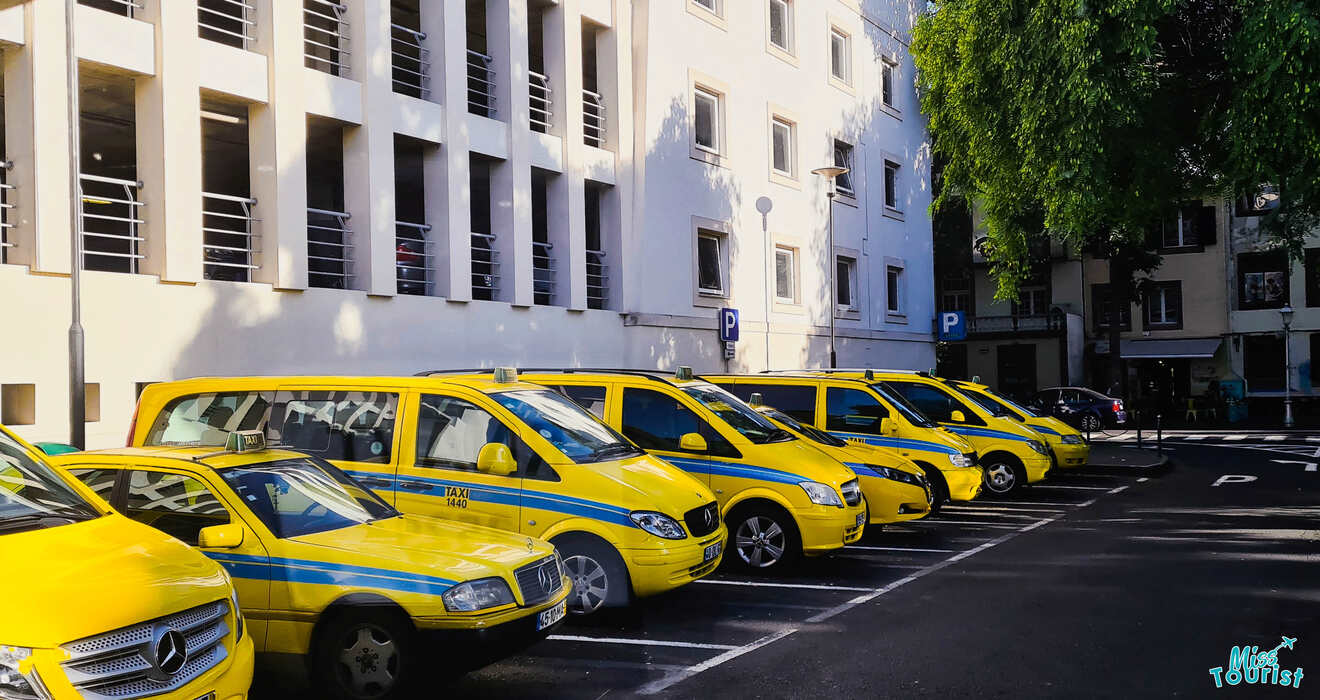 A row of yellow taxis parked in designated spots alongside a multi-story building on a clear day.