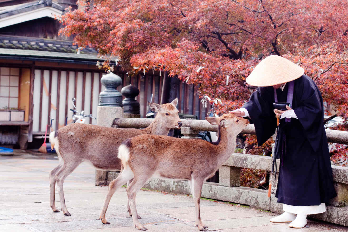 2 where to stay in Nara