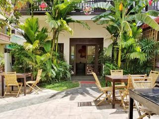 Tropical café entrance with outdoor seating surrounded by lush green plants and a clear path leading to the building.