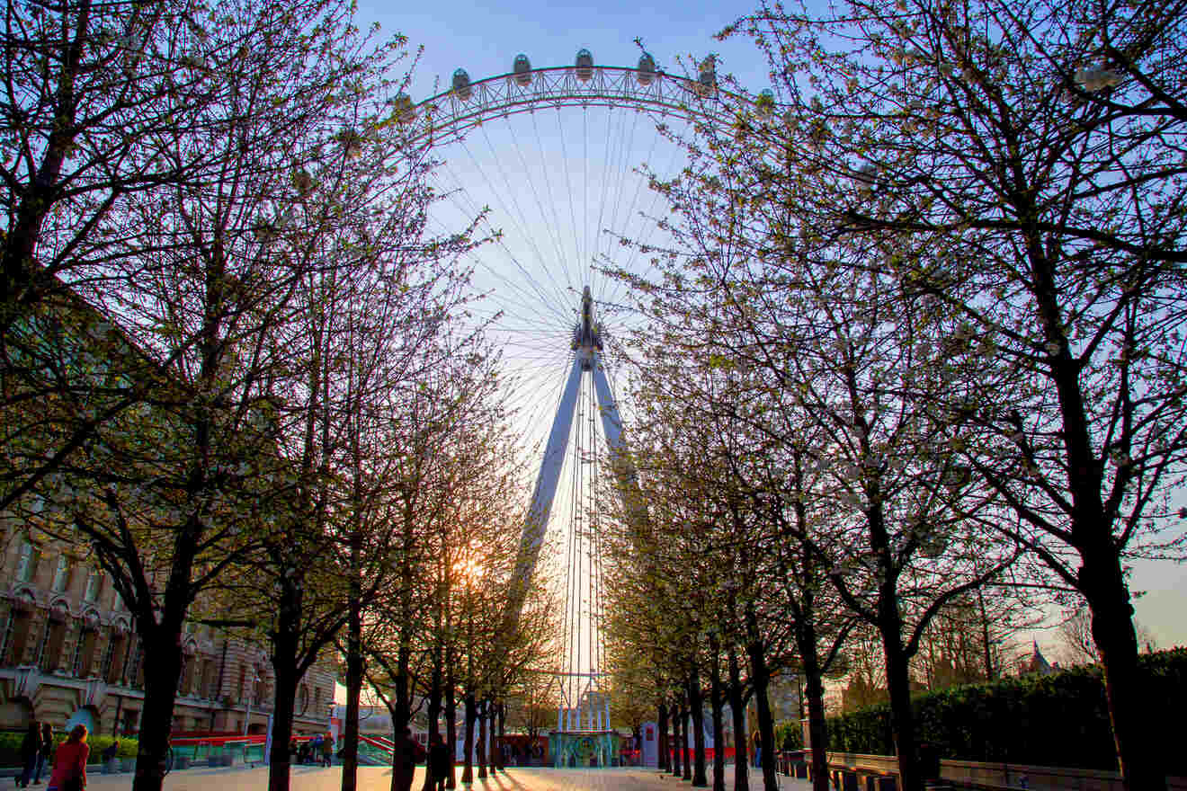 6 Facilities inside Gift Shop London Eye