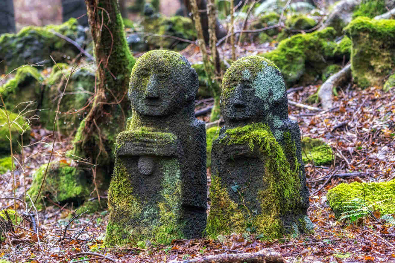 Two moss-covered stone statues stand side by side in a forest setting, surrounded by natural vegetation and fallen leaves.