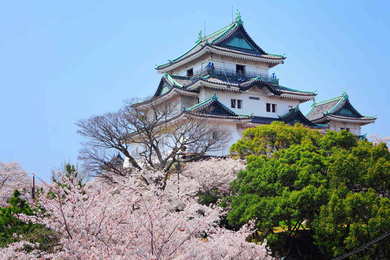 9 Where to stay near Wakayama Castle