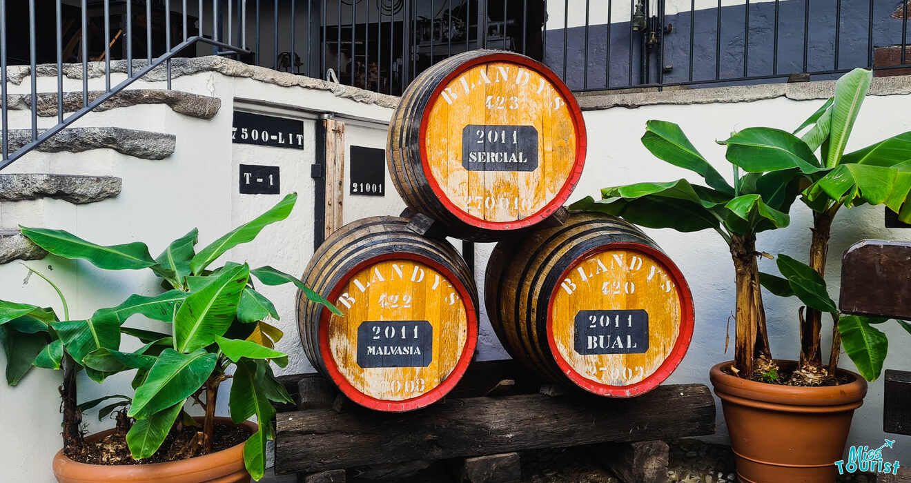 9 try best traditional Madeira wine