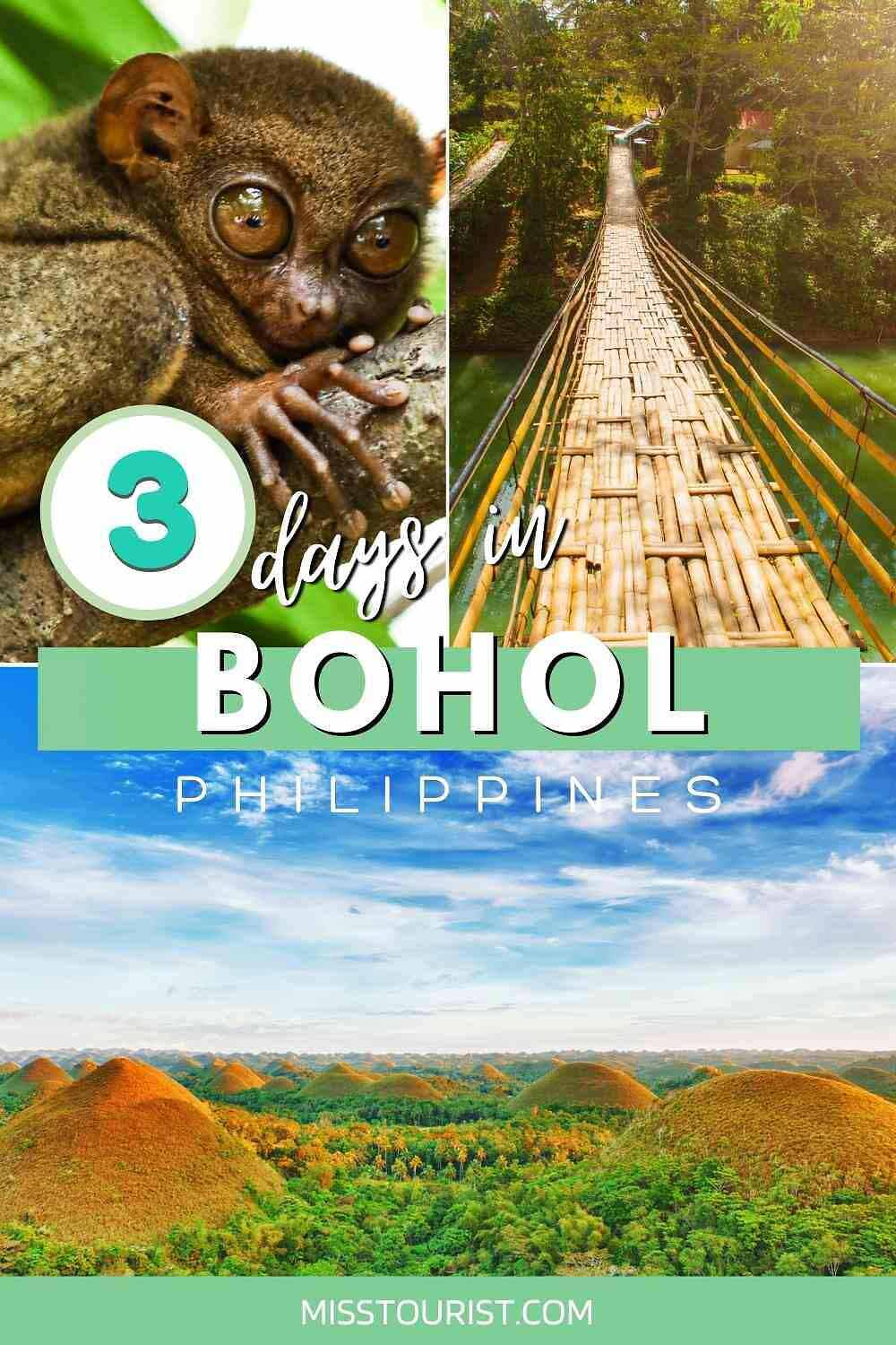 3 days in bohol philippines pin 2