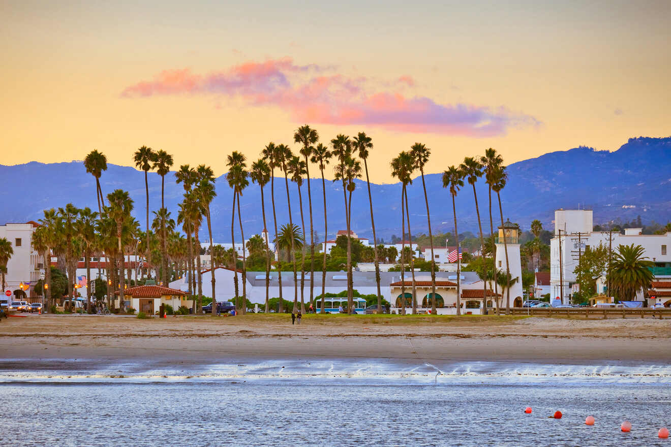 palm trees line the beach as the sun sets