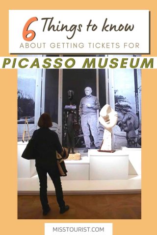Picasso Museum Paris Tickets pin 4