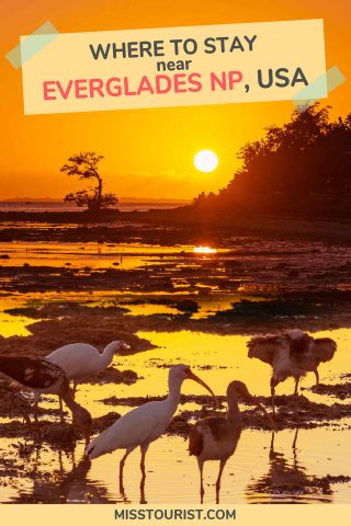 Where to Stay near Everglades National Park pin 2