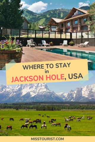 A split image showing a luxurious pool area with mountain views on top, and a grassy field with roaming horses and mountain backdrop on bottom, overlaid with text "Where to Stay in Jackson Hole, USA.