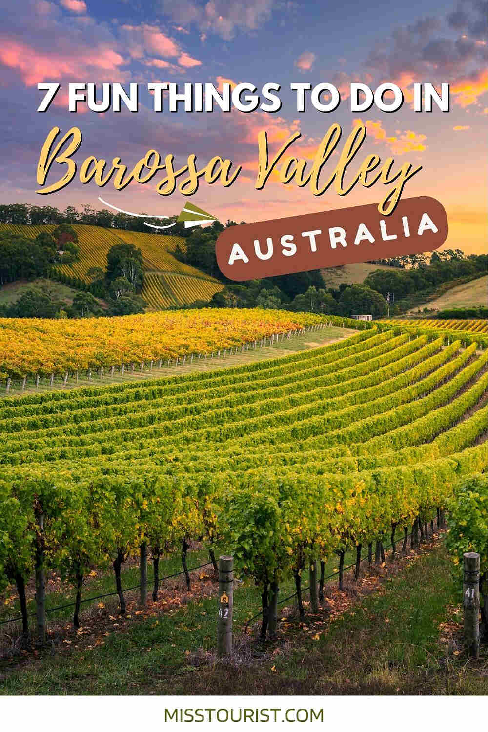 things to do in barrosa valley pin 3