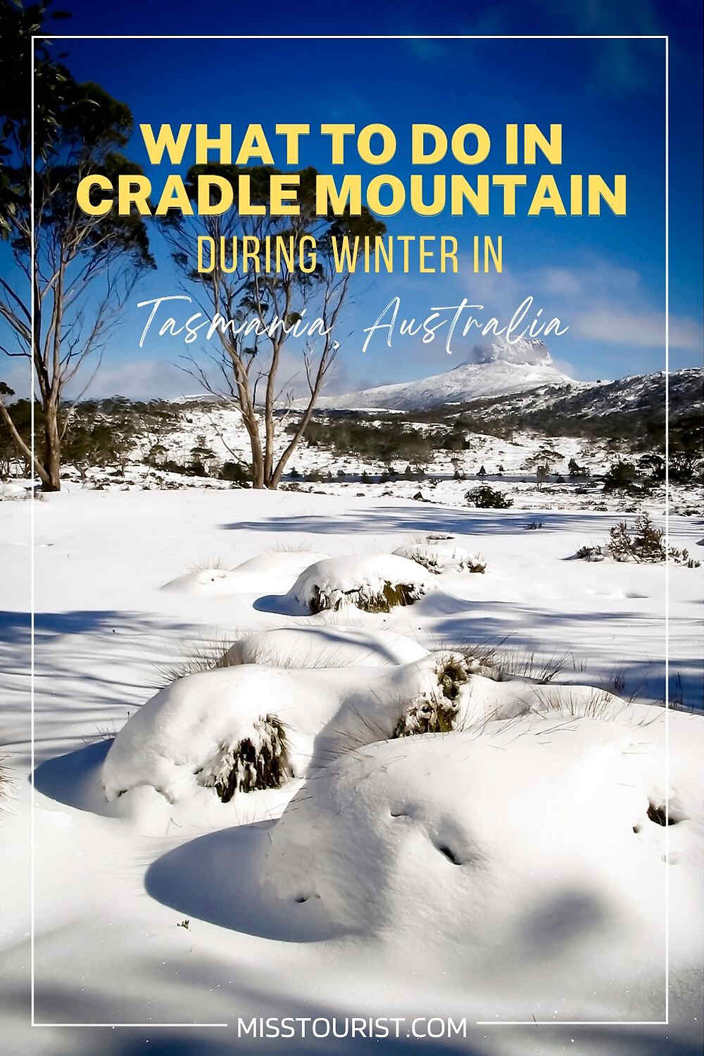 things to do in cradle mountain pin 2