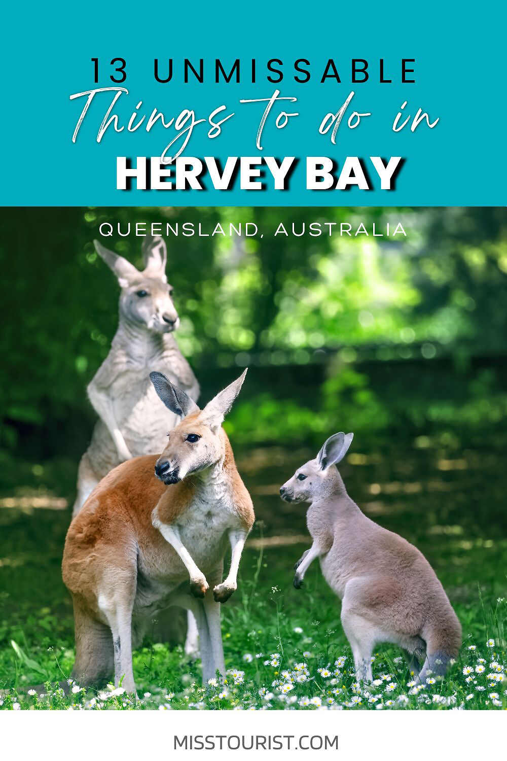 things to do in hervey bay australia pin 2