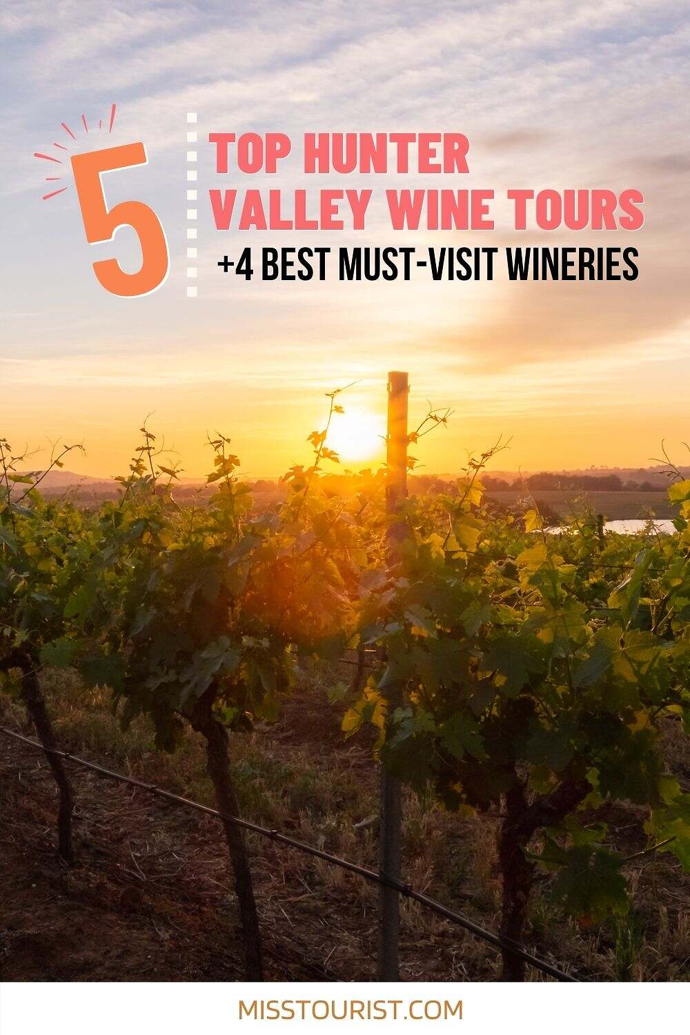 top hunter valley wine tours pin 1