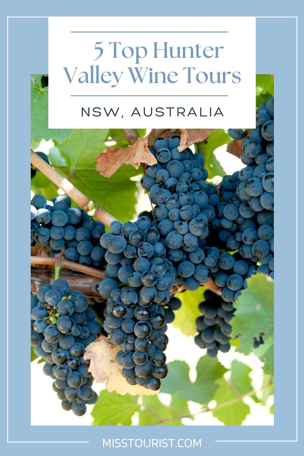 top hunter valley wine tours pin 2