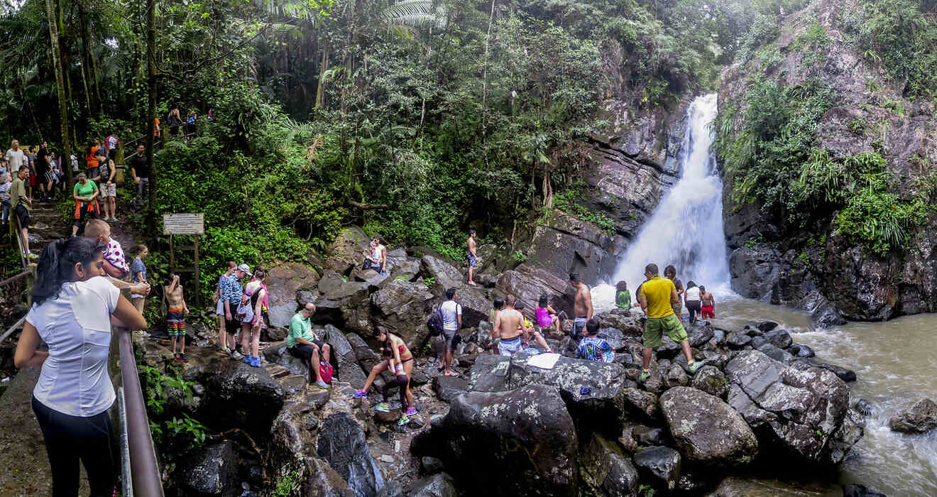 3 Yunque National Forest popular tourist attraction