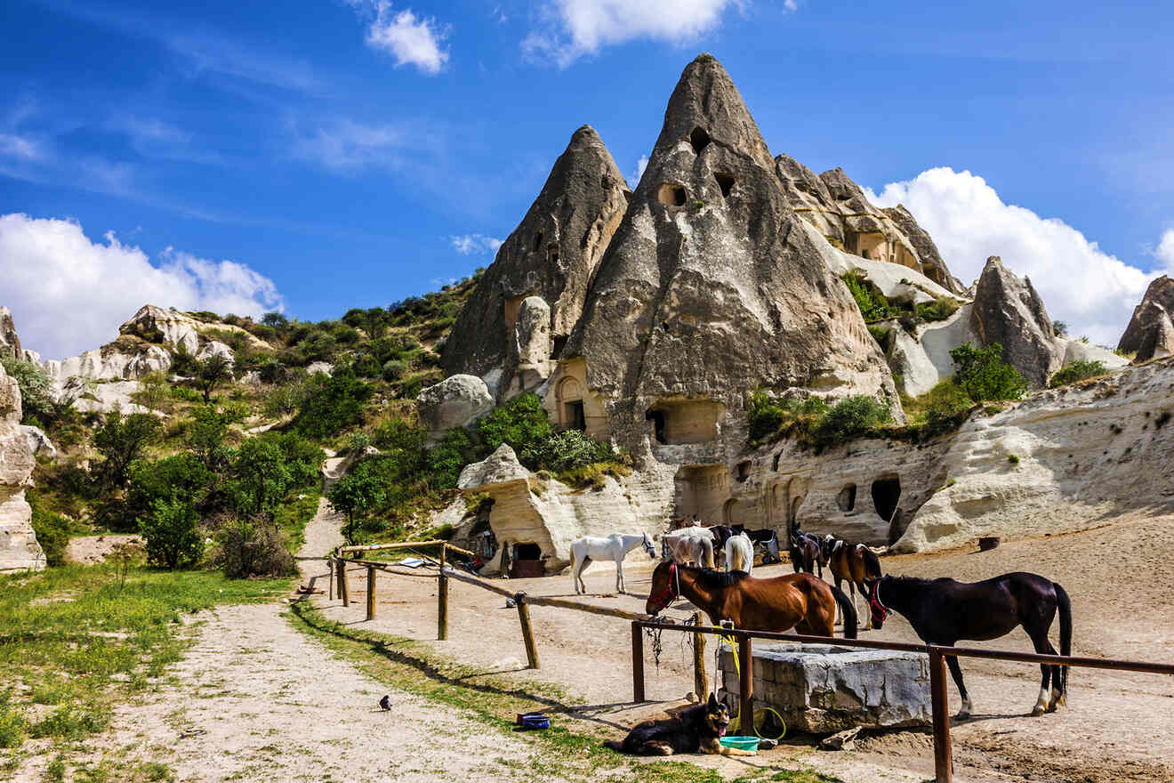 3 horse riding tour for family in Cappadocia