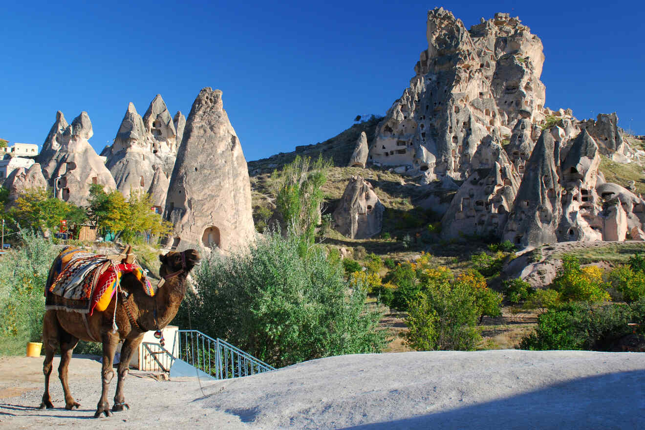 7 Cappadocias Valleys by camel