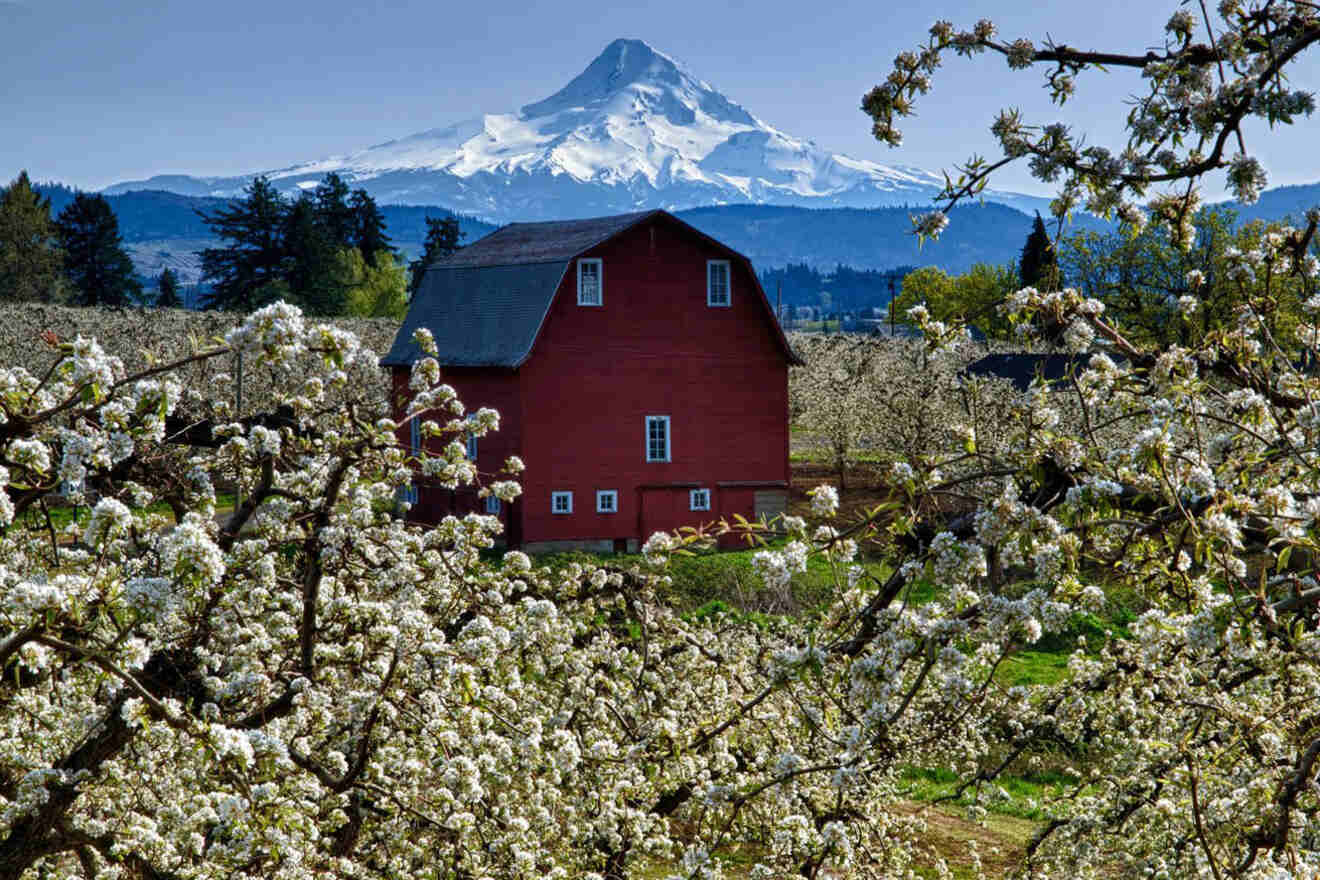 places to stay in Hood River with a pool