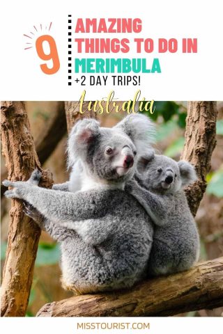 things to do in merimbula australia pin 1