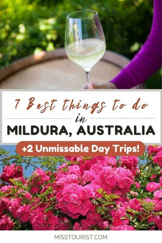 things to do in mildura australia pin 3