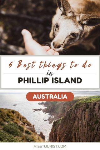 things to do in phillip island australia pin 1