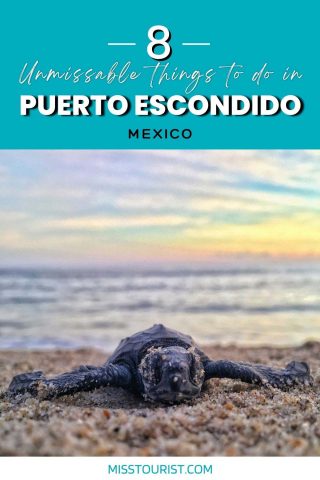 things to do in puerto escondido pin 2