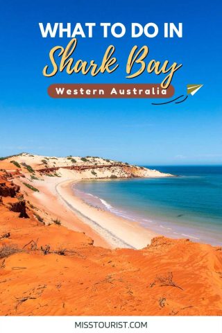 things to do in shark bay australia pin 1