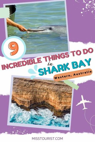 things to do in shark bay australia pin 2