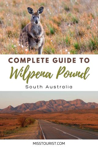 things to do in wilpena pound australia pin 1