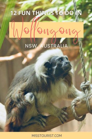 things to do in wollongong australia pin 2