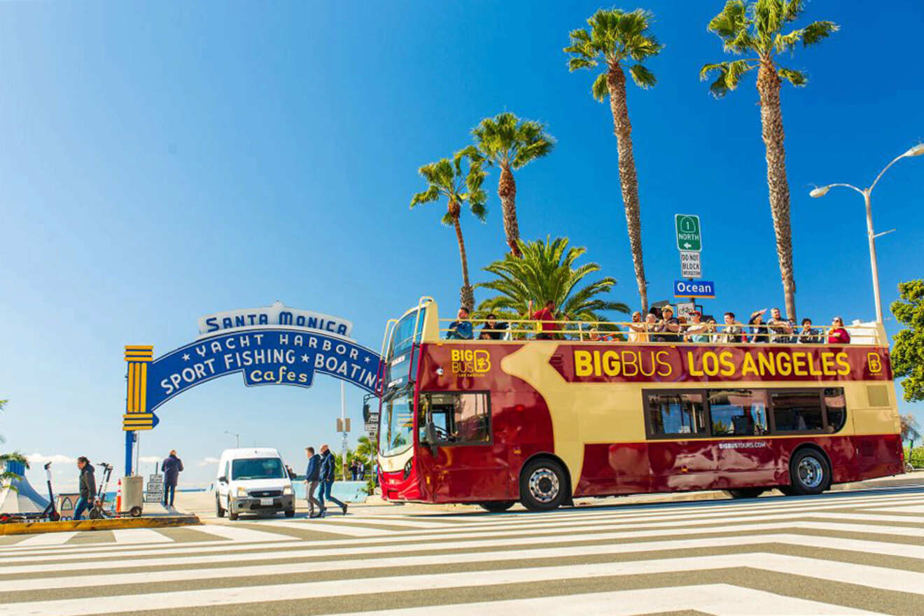 a tourist bus travels down the street