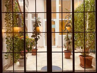 View through a glass-paneled door of an indoor courtyard with potted plants, including a large leafy plant in the center and green climbing plants on the walls.