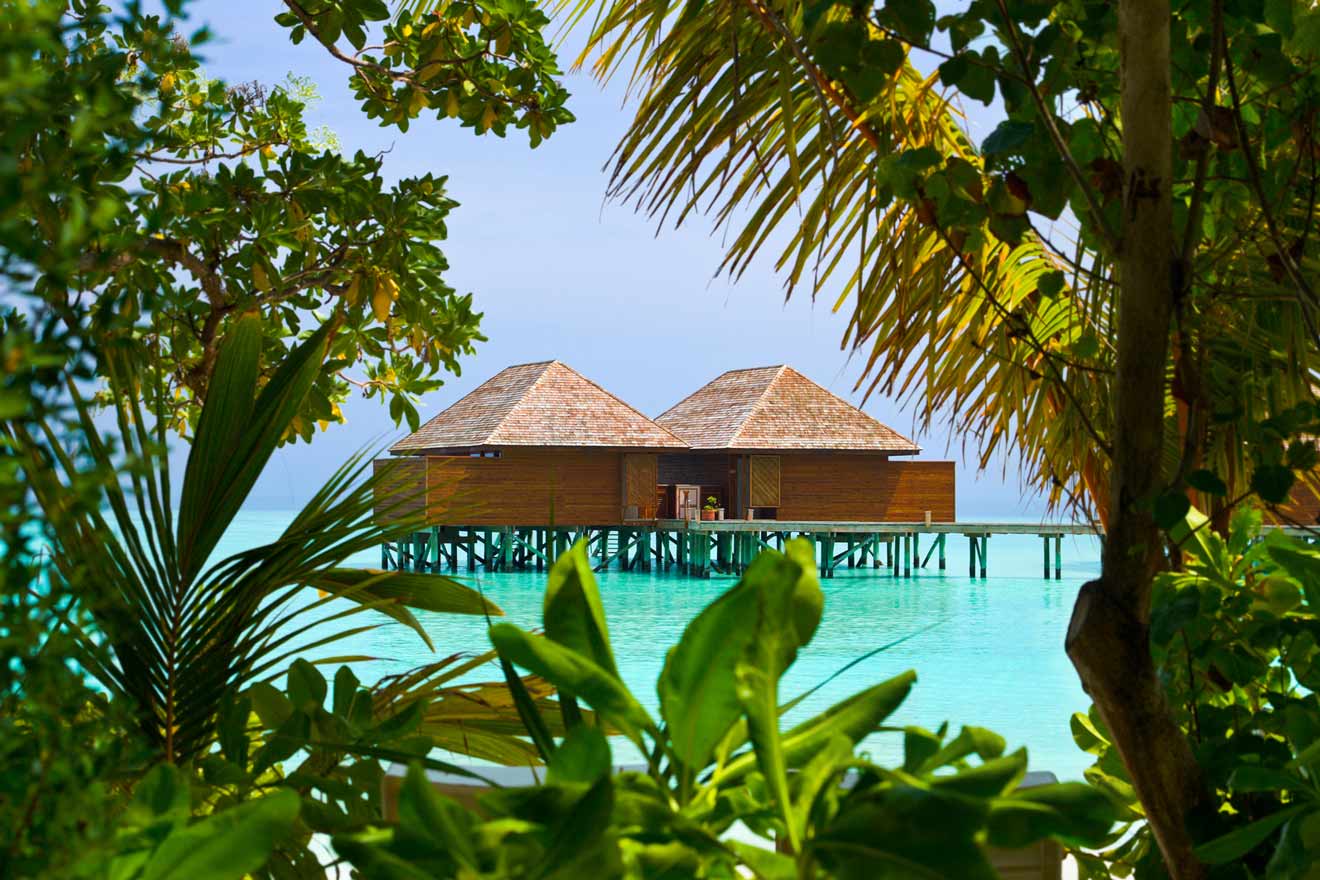 2 water bungalows in Bahamas surrounded by lush greenery