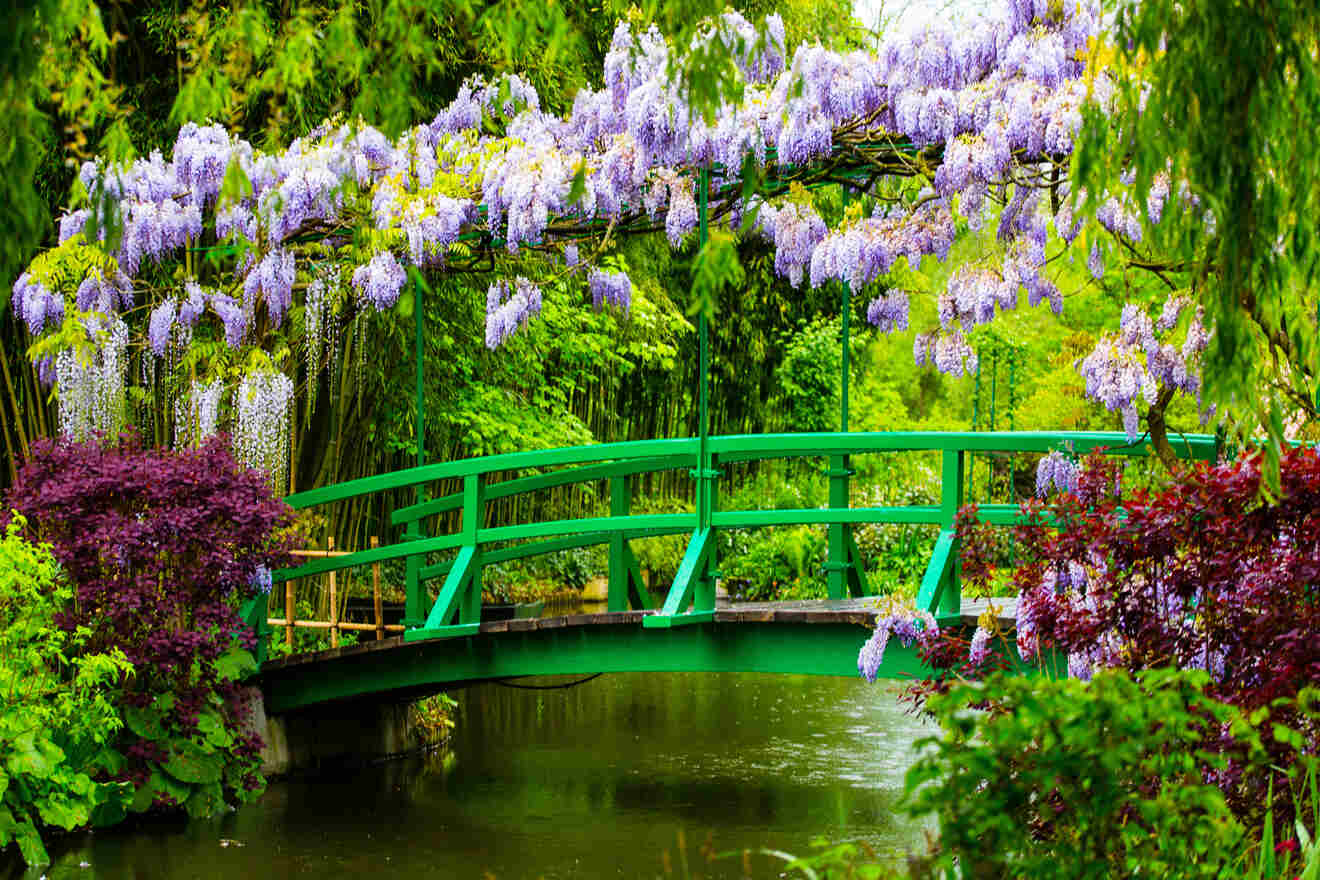 30 M-9, Handbag - Claude Monet, The Artist's Garden at Giverny