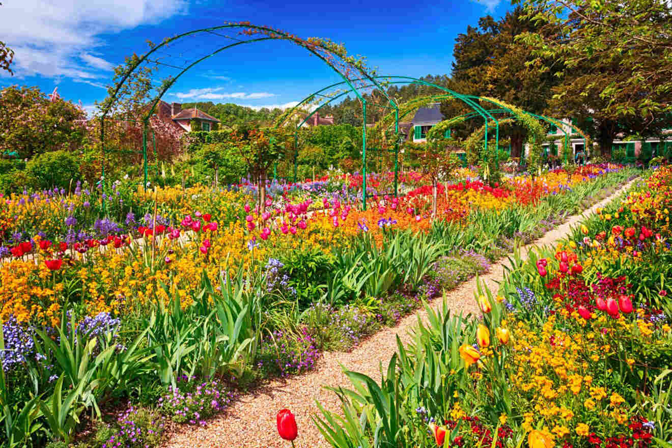 3. Guided day trips to Giverny from Paris