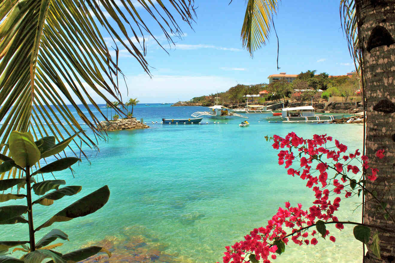 Tropical seascape with clear turquoise water, moored boats, lush greenery, and bright pink flowers in the foreground.