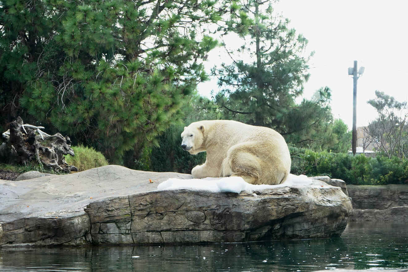 5.3 How to get to San Diego Zoo