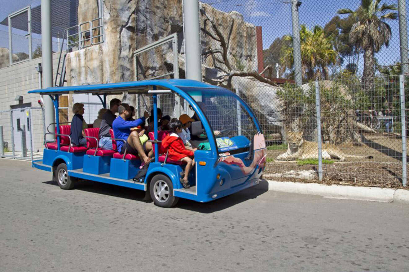 5.8 Guided Bus Tours San Diego Zoo