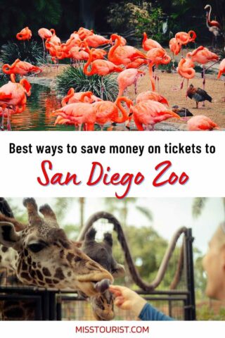 San Diego Zoo tickets PIN 2