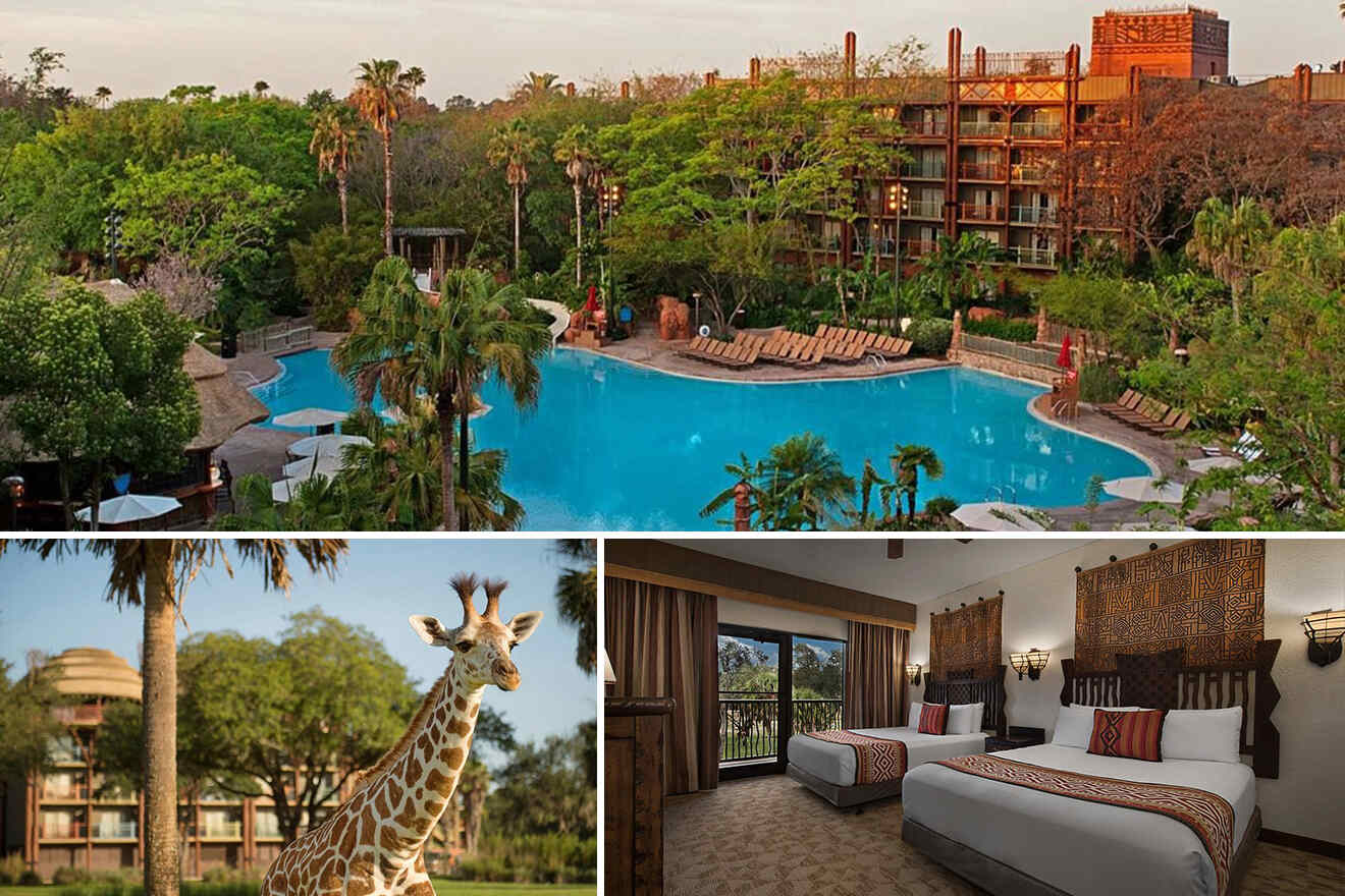 1 6 Disneys Animal Kingdom Lodge