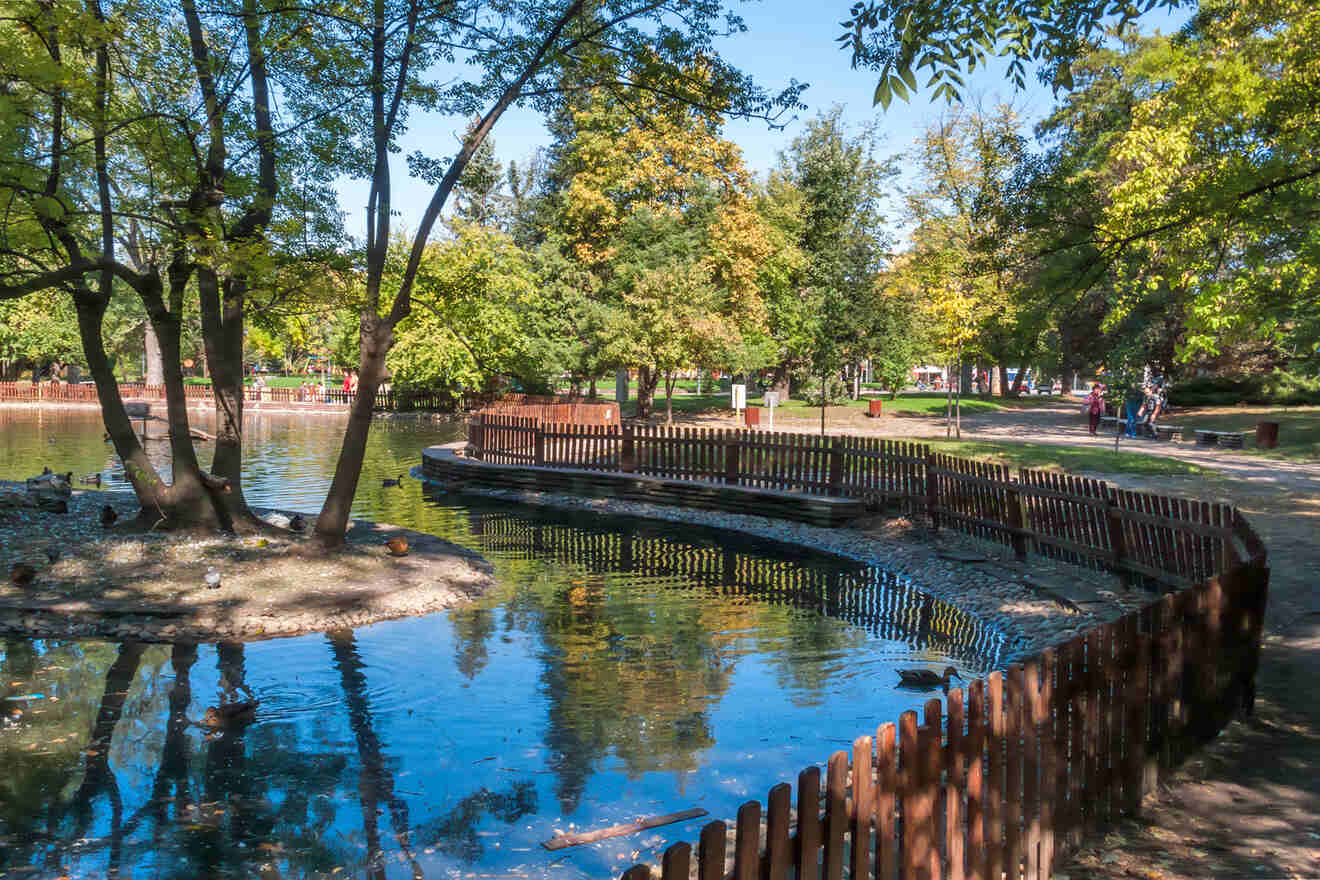 A park with a pond, surrounded by trees and a wooden fence. Ducks are swimming in the water. People walk along a path under a clear blue sky.