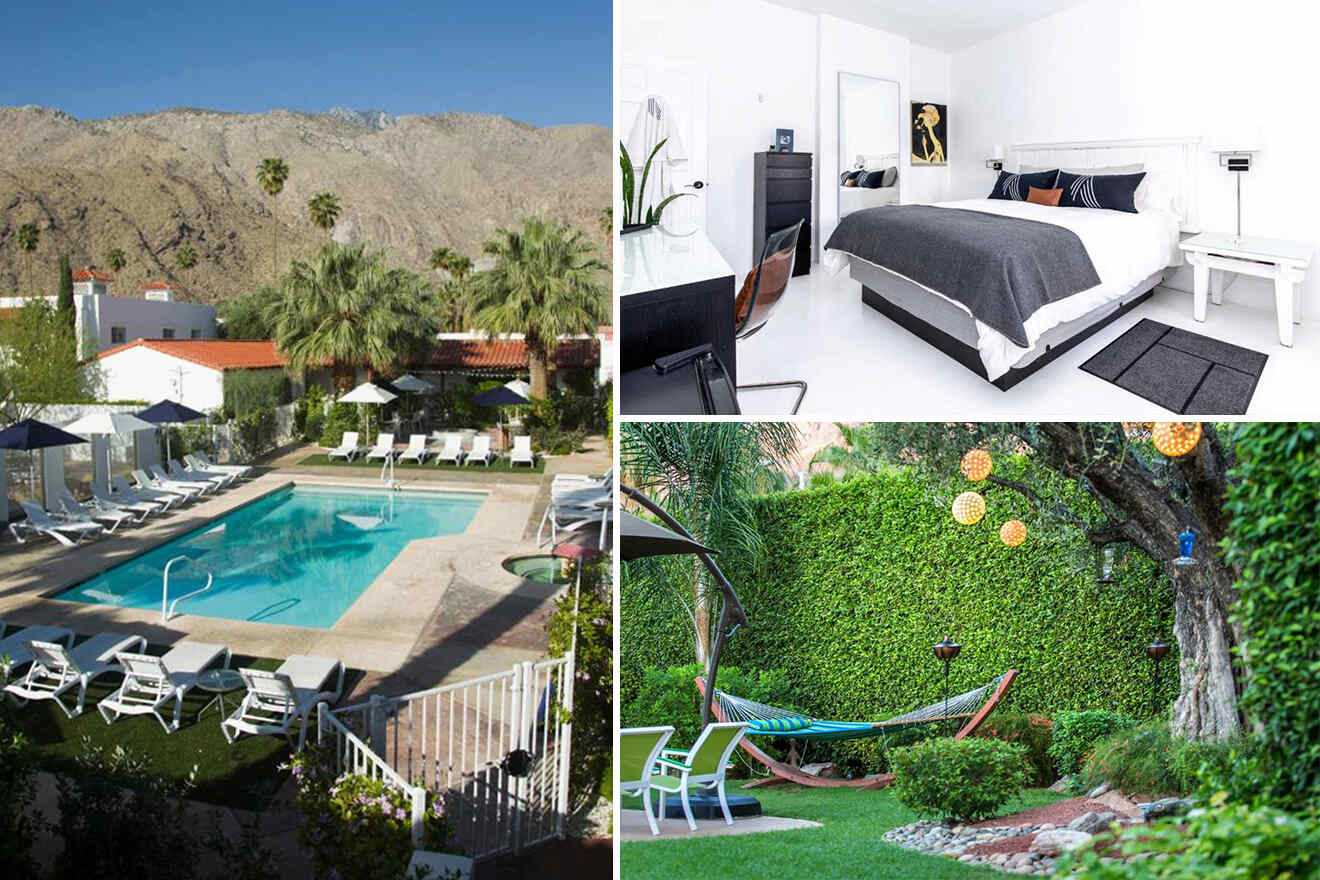 3 2 palm springs boutique hotels pet friendly